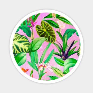 Stylish Tropical floral leaves and foliage botanical illustration, botanical pattern, tropical plants, pink leaves pattern over a Magnet